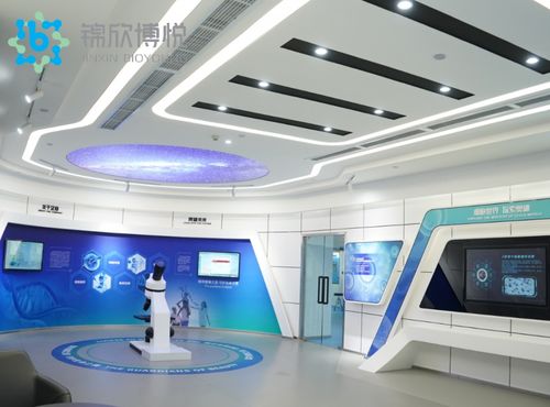 成功入庫(kù)國(guó)家項(xiàng)目，成都錦欣博悅加速技術(shù)創(chuàng)新與軟件開發(fā)布局